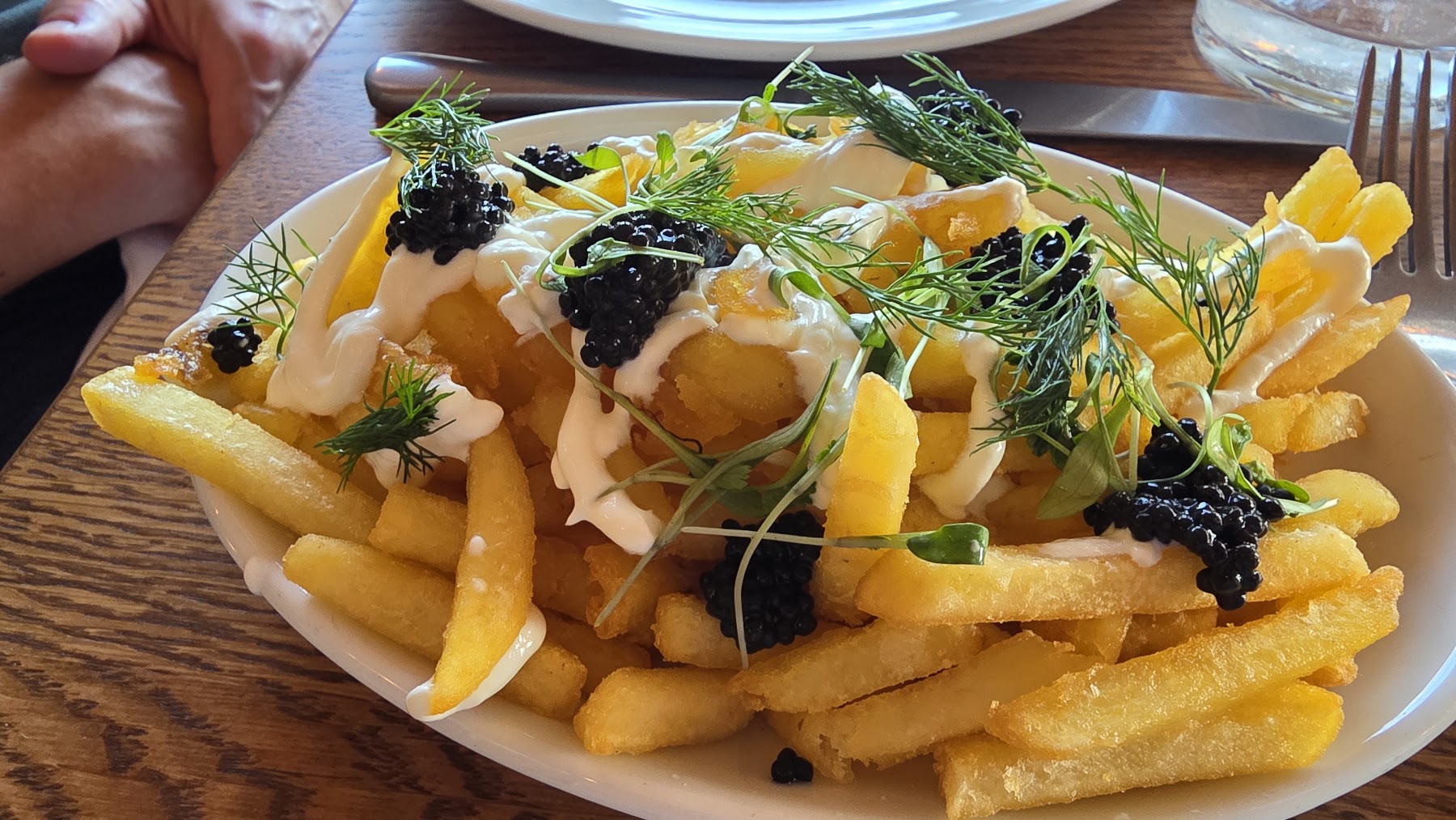 loaded fries